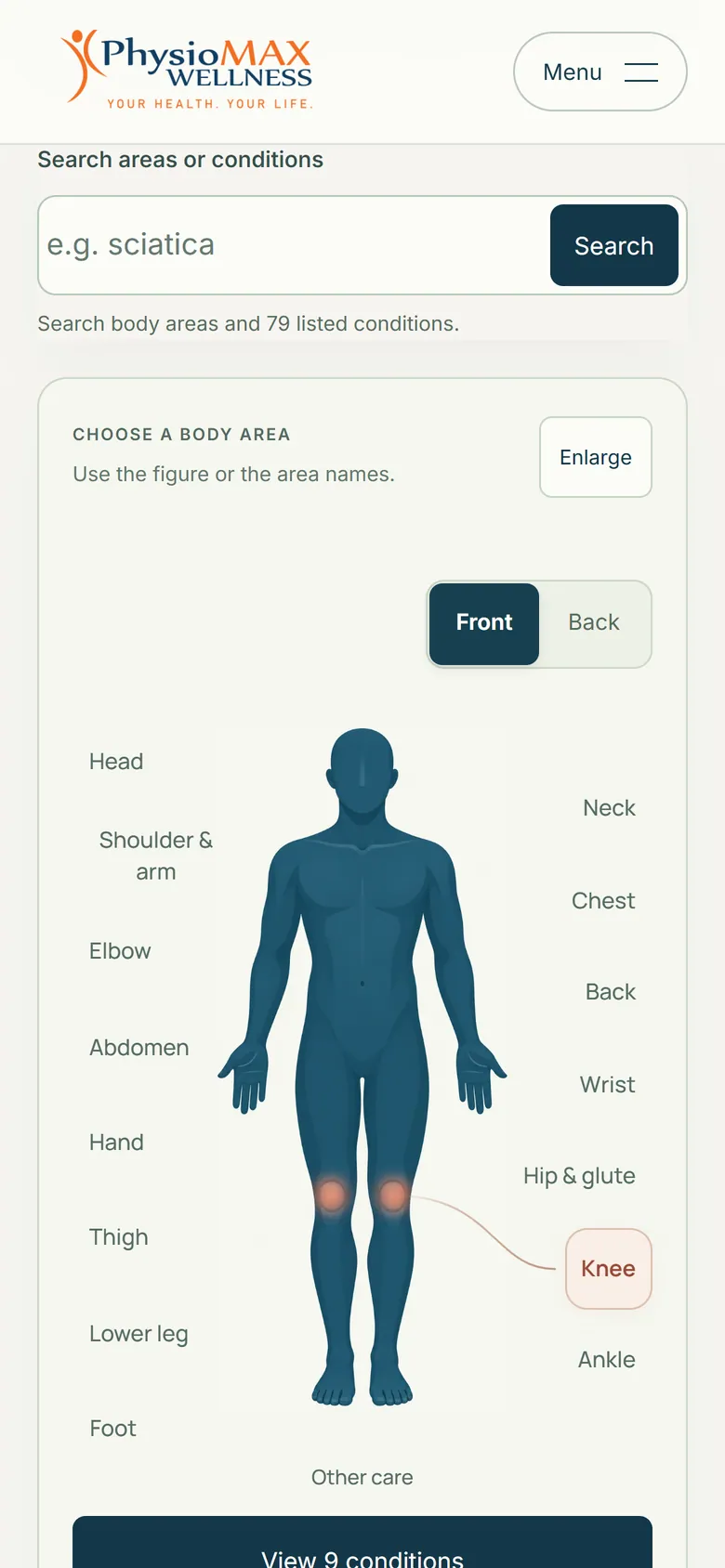 The body chart on a phone.